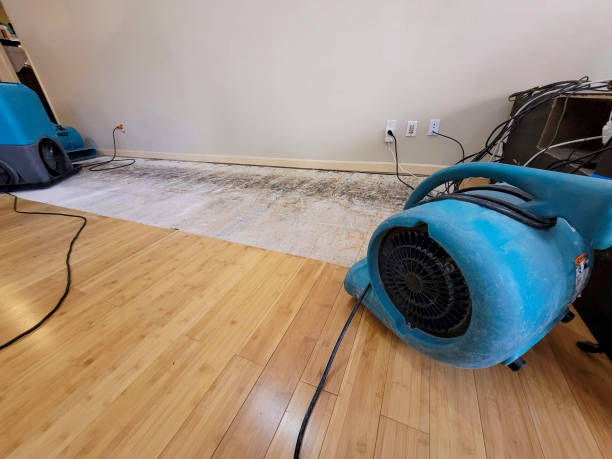 Professional Water Damage Repair technician working in Montgomery, TX